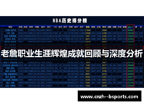 老詹职业生涯辉煌成就回顾与深度分析