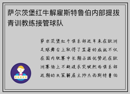 萨尔茨堡红牛解雇斯特鲁伯内部提拔青训教练接管球队