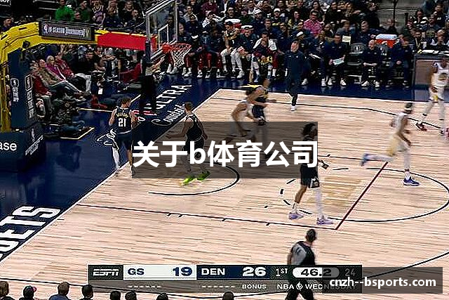 关于b体育公司
